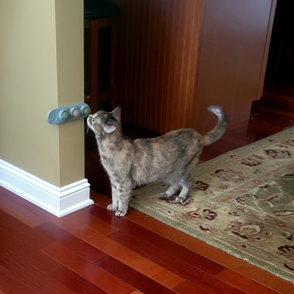 Green and Brown Spherical Bath Bombs - Picture 3 of 7
